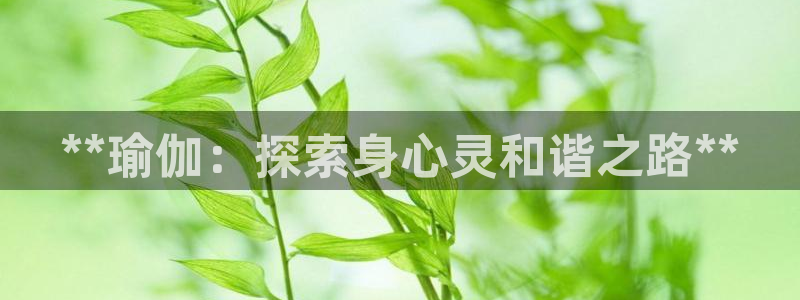 买球平台官方网站